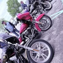 Motorcycles gathered in the parking area